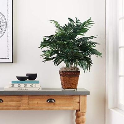 Product: Nearly Natural Bamboo Palm with Wicker Basket Silk Plant
