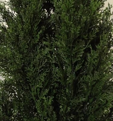 Product: COMUSTER 4FT Artificial Cedar Topiary Trees for Outdoors Potted Fake Cypress Trees Faux Evergreen Plants for Home Porch Decor Set of 2