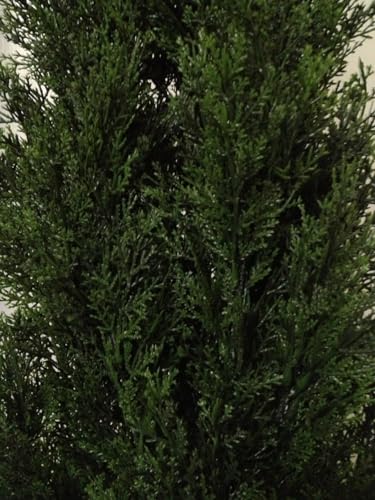 Product: COMUSTER 4FT Artificial Cedar Topiary Trees for Outdoors Potted Fake Cypress Trees Faux Evergreen Plants for Home Porch Decor Set of 2