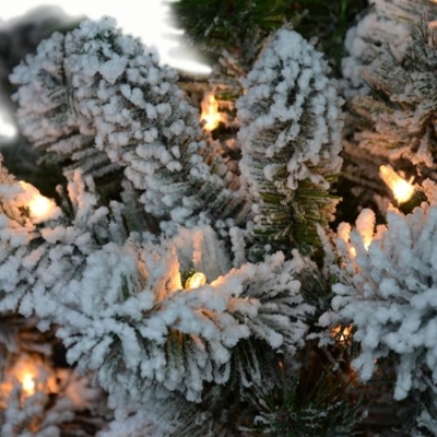 Silky Flower Store Pre-lit Flocked Virginia Pine Artificial Christmas Tree, Puleo International, 300 Clear Incandescent Lights, 6.5' 8 8 Product: Puleo International 6.5' Pre-lit Flocked Virginia Pine Artifical Christmas Tree with 300 UL-Listed Clear Incandescent Lights