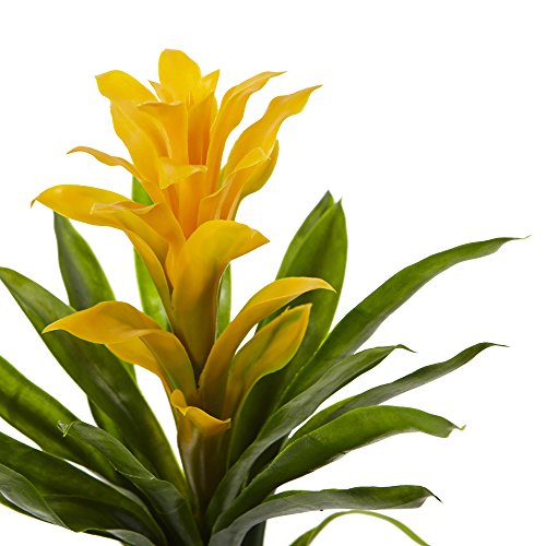 Product: Nearly Natural 15in. Bromeliad Artificial (Set of 4) Silk Flowers, 15"H x 8"W x 8"D, Yellow