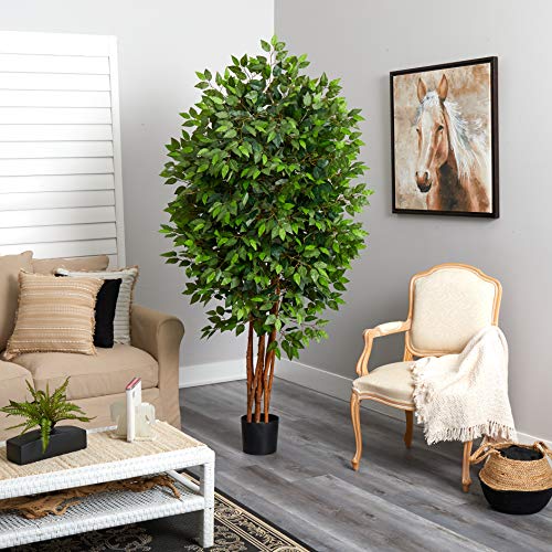 Product: Nearly Natural 6.5FT Artificial Deluxe Ficus Tree for Indoor Home Décor, Large Fake Plant with Black Nursery Planter, Faux Ficus Tree