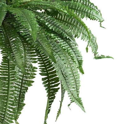 Product: Nearly Natural Potted or Hanging Artificial Boston Fern | Fake Plant, Green, 48 Inch, Set of 2 & 5357 4ft. Golden Cane Palm Tree,Green