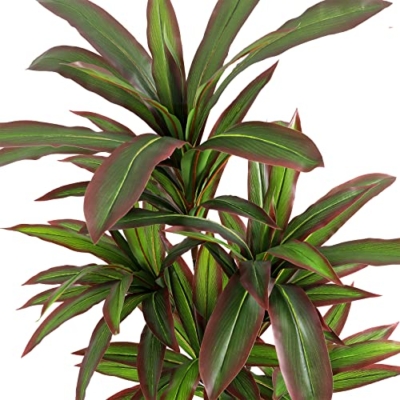 Product: VIAGDO Dracaena Silk Plant Artificial 4ft Faux House Plants with Red Leaf Margin Fake Yucca Palm Trees in Pot Realistic Dragon Tree for Living Room Home Office Decor Indoor Outdoor