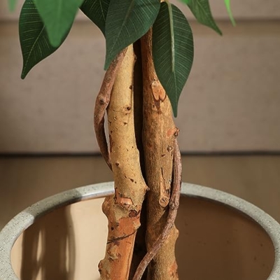 Product: SOGUYI 5ft Artificial Ficus Tree with Natural Wood Trunk, Silk Fake Ficus Tree in Plastic Nursery Pot, Faux Plant for Office Home, Indoor Outdoor Decor, 1 Pack