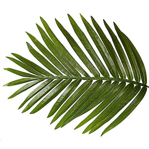 Product: AMERIQUE Gorgeous & Unique 5' Tropical Palm Artificial Plant Silk Tree, Real Touch Technology, with UV Protection, Super Quality
