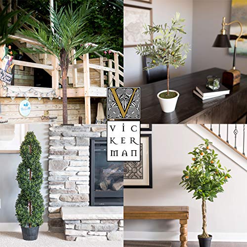 Silky Flower Store Faux Fiddle Leaf Fig Tree, 6ft Tall Green Silk Artificial Indoor Plant, 204 Large Leaves Multiple Stems, Home Office Decor 6ft 9 9 Product: Vickerman Everyday Faux Fiddle Leaf Fig Tree 6ft Tall Green Silk Artificial Indoor Fiddle Plant with 204 Large Fiddle Leaves and Multiple Stems Home Office Decor