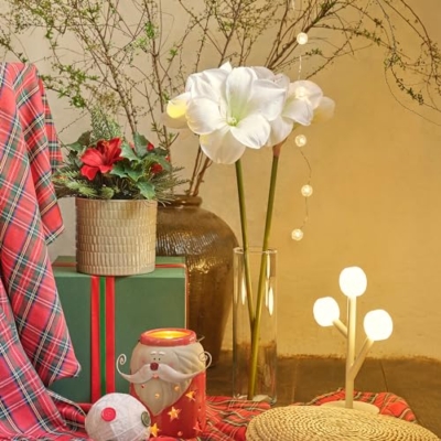 Product: VINTERFINT artificial flower, 60 cm, in/outdoor/Amaryllis white