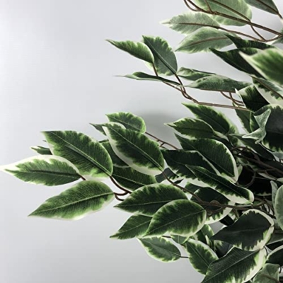 Product: Leaf Artificial Ficus Tree/Plant, Mixed Materials, Variagated Tall Natural, 130cm