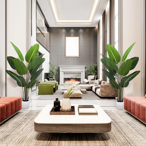 Silky Flower Store Bird of Paradise Artificial Plant, Fake Palm Tree, White Planter, Indoor Floor Decor, 5FT 6 6 Product: Jocoevol Bird of Paradise Artificial Plant, 5FT Fake Plant Palm with White Planter, Tall Artificial Floor Plants Indoor for Home Office Living Room Decor Housewarming Gift