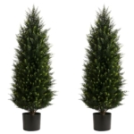 Product: LXNRMHCH Two 3.2FT Artificial Cedar Topiary Trees, UV Resistant Artificial Pine Outdoor Plants for Front Porch Decor, Fake Greenery Outdoor Plants Cypress Realistic Faux Indoor Tree