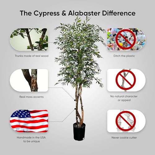 Silky Flower Store Artificial Mediterranean Olive Tree, Cypress & Alabaster Handmade Real Wood Trunks, Hypoallergenic Green, 6.5ft 4 4 Product: Cypress & Alabaster Handmade 6.5ft Mediterranean Olive Artificial Tree with Ethically Sourced Real Wood Trunks, Hypoallergenic, 6.5-Foot, Green