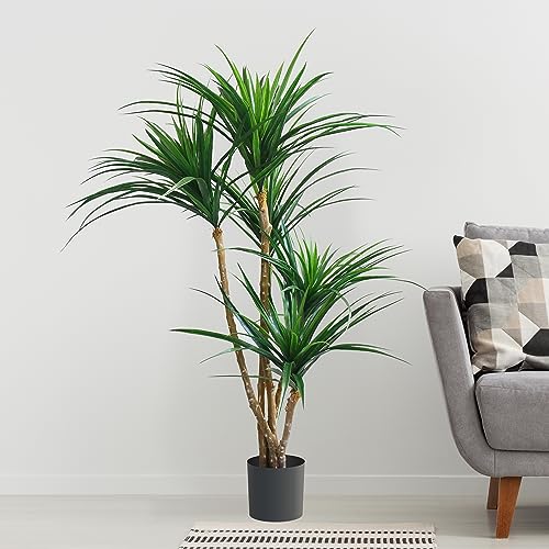 Silky Flower Store Artificial Yucca Tree, Tropical Faux Plant with Rubber Leaves, Natural Trunk, UV Resistant, Indoor Outdoor Décor, 51-inch 3 3 Product: Pure Garden Artificial Tree - 51-Inch Tropical Yucca Plant with Rubber Leaves and Natural Trunk for Living Room, Bedroom and Office - Faux Plants
