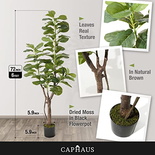 Product: CAPHAUS 6/7 Feet Artificial Fiddle Leaf Fig Tree in Pot - Perfect Faux Plant for Home, Office & Housewarming Gifts