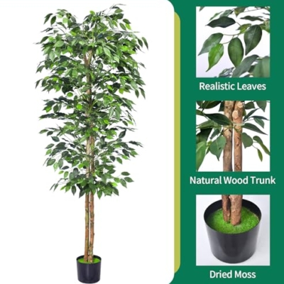 Product: HAIHONG 2Packs 6FT Artificial Ficus Trees with Realistic Leaves and Natural Trunk, Faux Ficus Tree with Sturdy Plastic Nursery Pot, Fake Ficus Tree for Office Home Farmhouse for Indoor Outdoor Decor