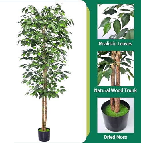 Product: HAIHONG 2Packs 6FT Artificial Ficus Trees with Realistic Leaves and Natural Trunk, Faux Ficus Tree with Sturdy Plastic Nursery Pot, Fake Ficus Tree for Office Home Farmhouse for Indoor Outdoor Decor