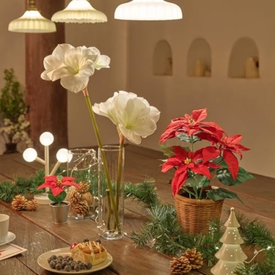 Product: VINTERFINT artificial flower, 60 cm, in/outdoor/Amaryllis white