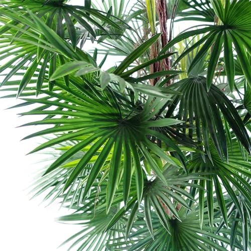 Product: Leaf Large Artificial Tree, 120cm Fan Palm