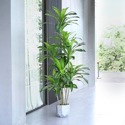 Product: Waoops Artificial Plants 6Ft Dracaena Fragrans Faux Trees with 8 Heads Fake Tree for Home Decor Indoor or Outdoor Office Decoration Housewarming Gift