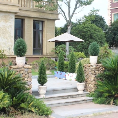 Product: Artificial Topiary Trees 3 Foot Artificial Cedar Trees UV Resistant Potted Plant Set of 2 Faux Bushes Fake Shrubs for Outdoor Indoor Front Porch Garden