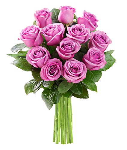 KaBloom PRIME NEXT DAY DELIVERY - Fall Collection - Bouquet of 12 Fresh Purple Roses Fresh.Gift for Birthday, Sympathy, Anniversary, Get Well, Thank You, Valentine, Mother’s Day Fresh Flowers - Artificial Roses Product: KaBloom PRIME NEXT DAY DELIVERY - Fall Collection - Bouquet of 12 Fresh Purple Roses Fresh.Gift for Birthday, Sympathy, Anniversary, Get Well, Thank You, Valentine, Mother’s Day Fresh Flowers