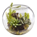 Product: Nearly Natural Mix Succulent Garden with Glass Vase
