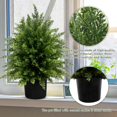 Silky Flower Store Artificial Cedar Topiary Ball Tree, Faux Potted Plants, UV Resistant Outdoor Decor, 21.5” 2Pack 1 1 Product: WAYNHUI Artificial Cedar Topiary Ball Tree, 21.5” 2pack Faux Potted Plants Artificial Shrubs Bushes with Cement Pot, Fake Evergreen Artificial Topiary for Indoor Outdoor Home Front Porch Decor