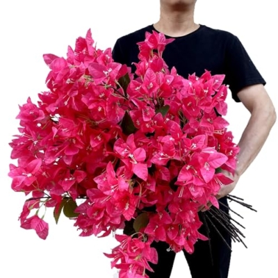 Silky Flower Store Artificial Bougainvillea Flower Stems, Silk Long Branches Fuchsia, Pack of 16, 31in 9 9 Product: haplous Pack of 16 - Artificial Bougainvillea Flower Stems Silk Bougainvillea Long Branches Full Blossoms for Home Wedding Table Centerpiece Shower Event Backdrop Indoor Outdoor Decorations (Fuchsia)