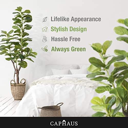 Product: CAPHAUS 6/7 Feet Artificial Fiddle Leaf Fig Tree in Pot - Perfect Faux Plant for Home, Office & Housewarming Gifts