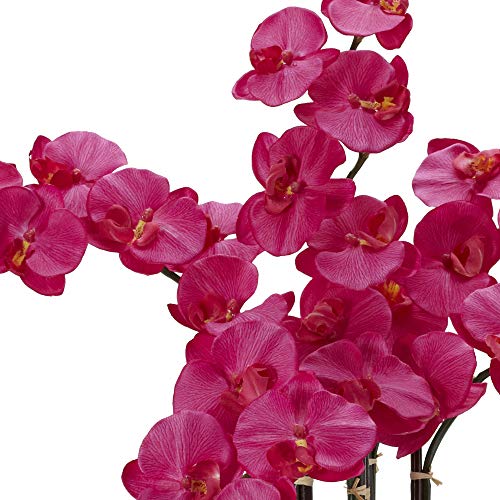 Silky Flower Store Nearly Natural Phalaenopsis Silk Flower Arrangement, Decorative Vase, Oriental Style Faux Floral, Beauty 12 x 12 x 35 3 3 Product: Nearly Natural 1211-BU Phalaenopsis with Decorative Vase Silk Flower Arrangement, Beauty 12" x 12" x 35"