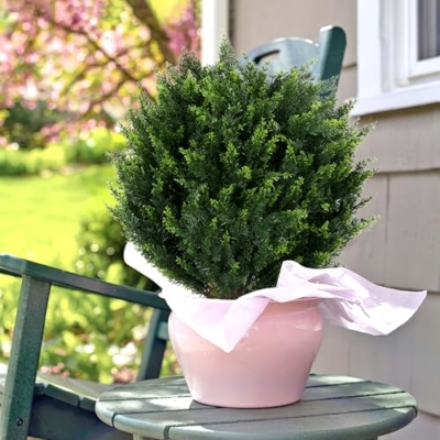 Product: Keepinno 21''T Artificial Cedar Topiary Ball Tree 2 Pack, Outdoors Artificial Shrubs Fake Plants Uv Rated Potted Plants for Outdoor, Indoor, Front Door, Office Decor.