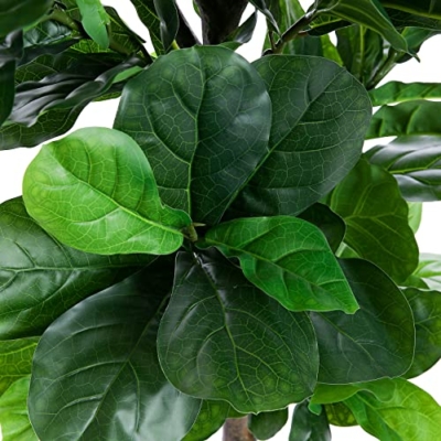 Product: FLOWORLD Fiddle Leaf Fig Tree 6ft Tall Artificial Tree in Plastic Pot Fake Ficus Lyrata Plants with 184 Decorative Fiddle Leaves Faux Fig Trees for Home Office Living Room Decor Indoor Outdoor