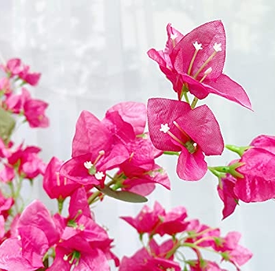 Silky Flower Store Artificial Bougainvillea Silk Flower Branches, Hot Pink Floral Decor, Bulk 40Pcs 45cm 14 14 Product: 40Pcs in Bulk Artificial Bougainvillea Silk Flowers Branches Long Plant Stems 45" for Wedding Centerpieces, Bussiness Decoration Project, Indoor & Outdoor Decoration (Hot Pink - 40Pcs)