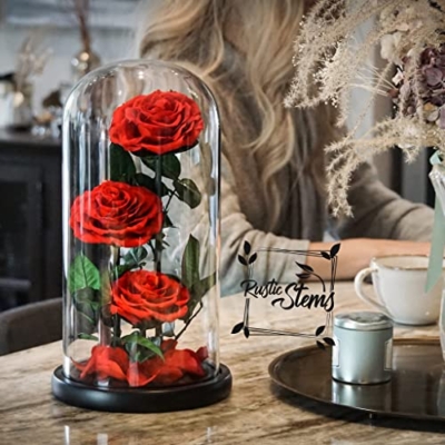 Silky Flower Store Preserved Real Rose Glass Dome, Rustic Stems Eternal Flower Gift, Luxury Decorative Floral Display 20.5cm 11 11 Product: RUSTIC STEMS Luxury Preserved Real Rose in Glass Dome - Eternal Flower Gift for Mom, Wife, Girlfriend | Perfect for Valentine's, Weddings, Birthdays & Christmas