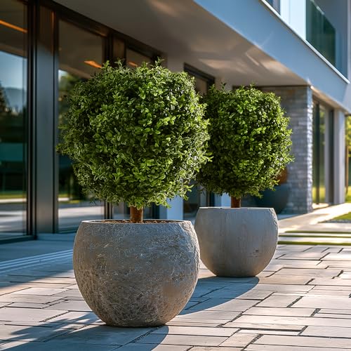 Product: FLORAMUSE Artificial Plants Indoor Outdoor - Set of 2 Topiary Boxwood Trees – 24” High Pre-Potted Faux Trees - Plant Decor for Front Porch Home Office - Topiary Ball