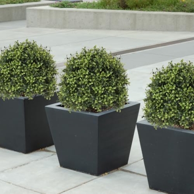 Product: Azoco 27“ Realistic Artificial Boxwood Topiary Trees Set of 2, Faux Boxwood Plants Outdoor UV-Resistant, No Maintenance Curb Appeal Fake Evergreen Bushes & Shrubs for Front Porch Outside Planter Decor