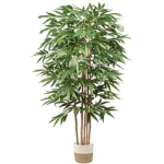 Product: Artificial Bamboo Silk Tree, 6 Ft Tall Fake Bamboo Plants 72in Faux Bamboo Tree Large Floor Potted Plants for Living Room, Garden, Office Indoor/Outdoor Decor
