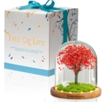 Product: Tree of Life. Handmade Preserved Flower. Eternal Flower. Immortalized Ecuadorian Flower (Red)