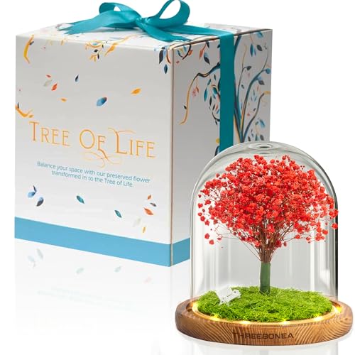 Product: Tree of Life. Handmade Preserved Flower. Eternal Flower. Immortalized Ecuadorian Flower (Red)