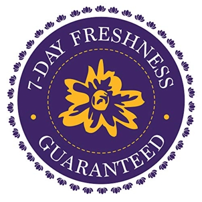 Silky Flower Store Purple Roses Bouquet, Fresh Flowers Fall Collection, Prime Next Day Delivery, Decorative Floral Arrangement 12 Stems 15 15 Product: KaBloom PRIME NEXT DAY DELIVERY - Fall Collection - Bouquet of 12 Fresh Purple Roses Fresh.Gift for Birthday, Sympathy, Anniversary, Get Well, Thank You, Valentine, Mother’s Day Fresh Flowers