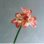 Product: NDRFAWY Artificial Flowers,Spring Decorations, Artificial Amaryllis FlowerHome Table Wedding Decoration PU Fake Flowers