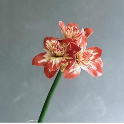 Product: NDRFAWY Artificial Flowers,Spring Decorations, Artificial Amaryllis FlowerHome Table Wedding Decoration PU Fake Flowers