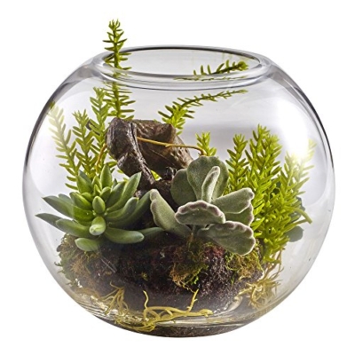 Product: Nearly Natural Mix Succulent Garden with Glass Vase
