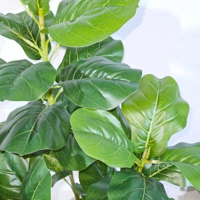 Silky Flower Store Artificial Fiddle Leaf Fig Tree, Faux Ficus Lyrata, 3 Feet, 49 Leaves, Nursery Pot, 91.4cm 12 12 Product: Artificial Fiddle Leaf Fig Tree Fake Potted Ficus Lyrata for Home Decor Office Decoration 3 feet Large Faux Plant with 49 Leaves Nursery Pot