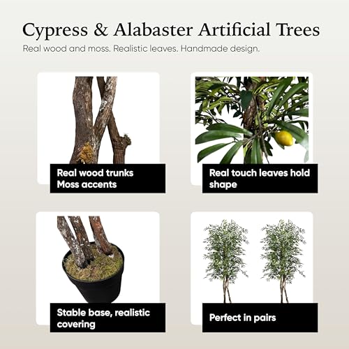 Silky Flower Store Artificial Mediterranean Olive Tree, Cypress & Alabaster Handmade Real Wood Trunks, Hypoallergenic Green, 6.5ft 3 3 Product: Cypress & Alabaster Handmade 6.5ft Mediterranean Olive Artificial Tree with Ethically Sourced Real Wood Trunks, Hypoallergenic, 6.5-Foot, Green