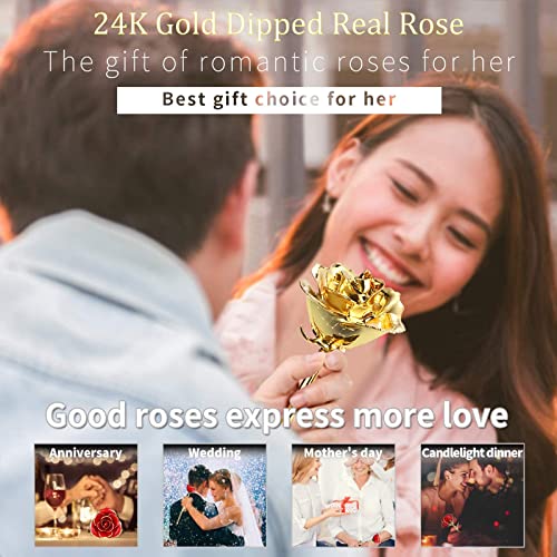 Product: MAXSPT 24K Golden Rose, Gold Dipped Rose Made from Real Rose Best Gifts for her and Great Gifts for My Wife, Golden with Stand