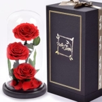 Product: RUSTIC STEMS Luxury Preserved Real Rose in Glass Dome - Eternal Flower Gift for Mom, Wife, Girlfriend | Perfect for Valentine's, Weddings, Birthdays & Christmas