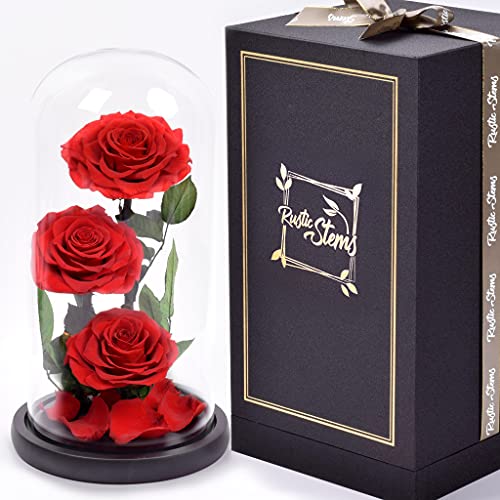 RUSTIC STEMS Luxury Preserved Real Rose in Glass Dome - Eternal Flower Gift for Mom, Wife, Girlfriend | Perfect for Valentine's, Weddings, Birthdays & Christmas - Artificial Flower Arrangements Product: RUSTIC STEMS Luxury Preserved Real Rose in Glass Dome - Eternal Flower Gift for Mom, Wife, Girlfriend | Perfect for Valentine's, Weddings, Birthdays & Christmas