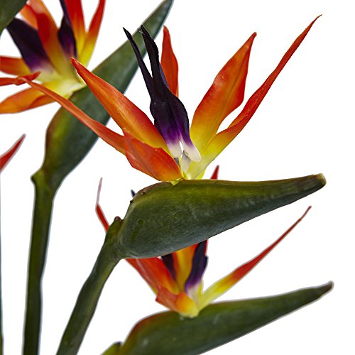 Product: Nearly Natural 1449 Birds of Paradise in Vase,Orange and Green