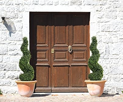 Product: MOMO Plant 35 Inch Artificial Boxwood Topiary Tree Spiral Plants Fake Faux Plant Decor in Plastic Pot Green Indoor or Outdoor, Set of 2